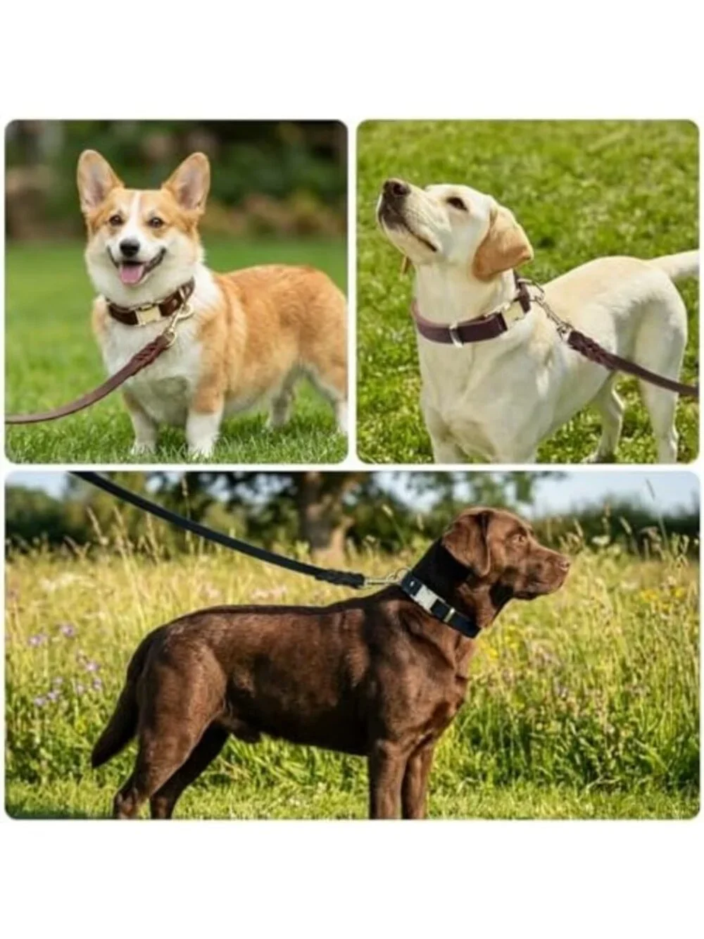 Durable Leather Dog Collar & 6FT Training Leash Set for All Sizes - Soft